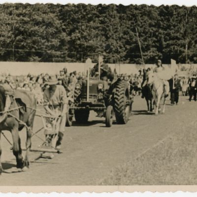 Karnavalinė grupė atidarymo parade.